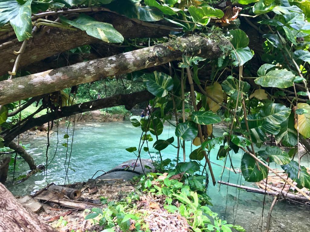 Nature In Portland بورت أنطونيو المظهر الخارجي الصورة